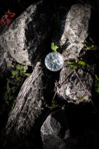 urban rich_flower water bottle